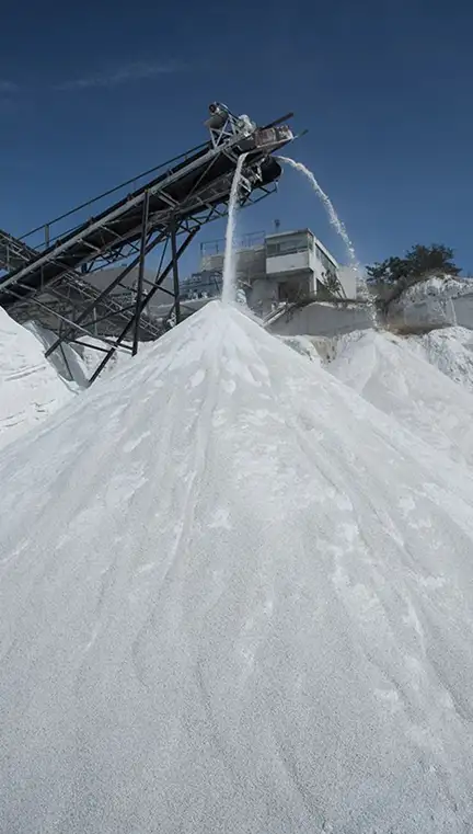 Services fleet-4 image