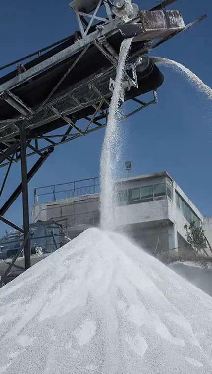 Services fleet-5 image